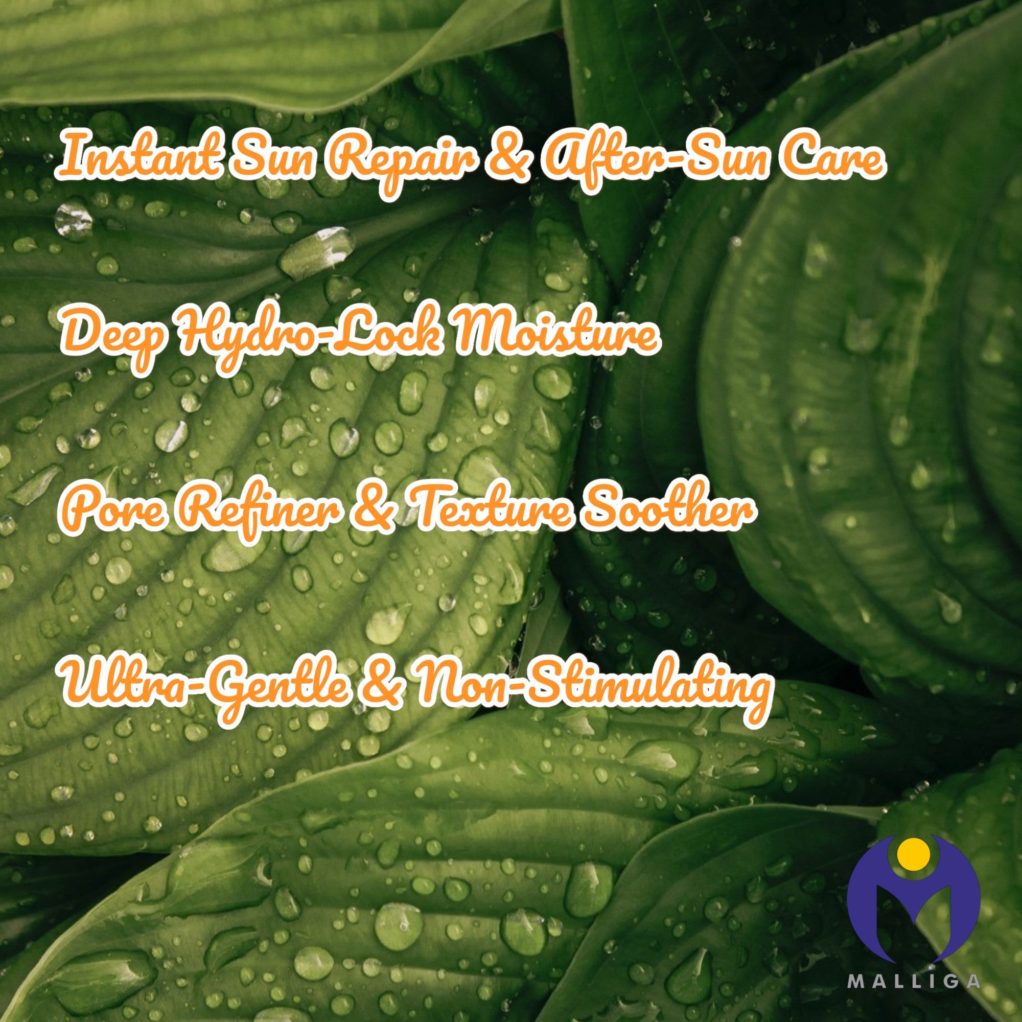 Love JoJo 99% Aloe Vera Soothing & Moisturizing Gel
