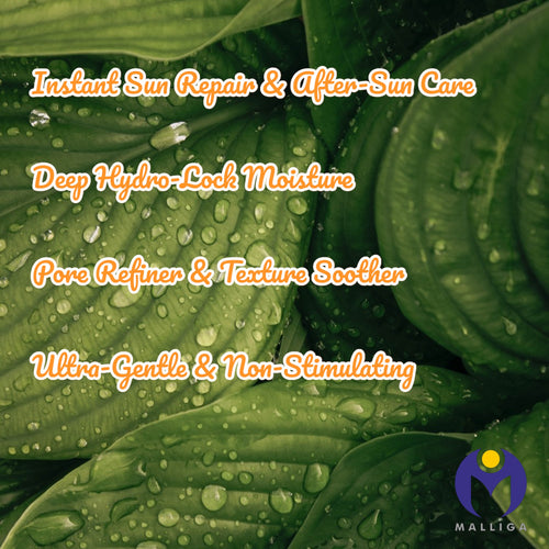 Love JoJo 99% Aloe Vera Soothing & Moisturizing Gel